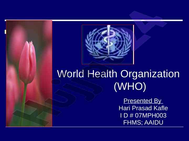 World health organization overview and functions