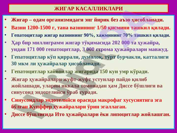 Jigar kasalliklari: tuzilishi va fiziologiyasi