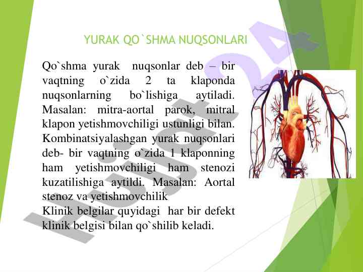 Yurak qo'shima nuqsonlari va klinik belgilari