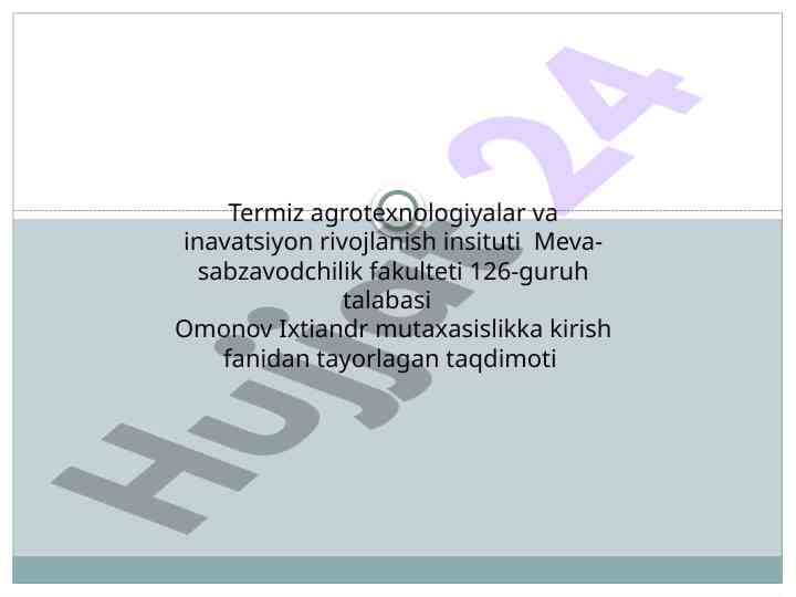 Saqlash omborlari va ularni tashkil etish usullari