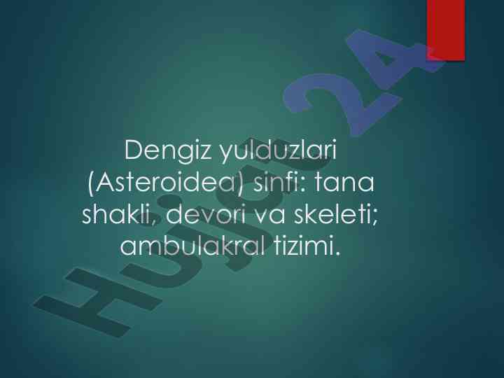 Dengiz yulduzlari tana shakli va skeleti