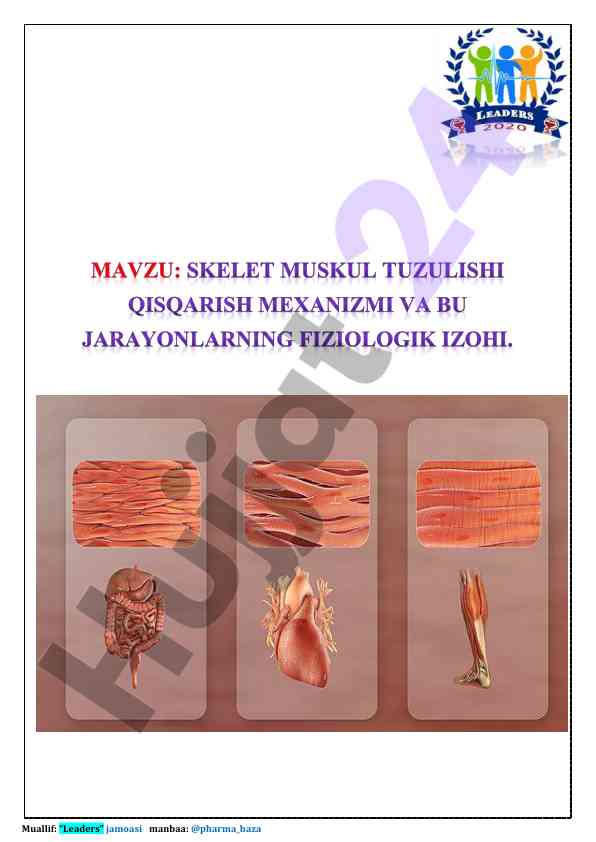 Nerv-muskul aloqasi va markaziy boshqarilishi