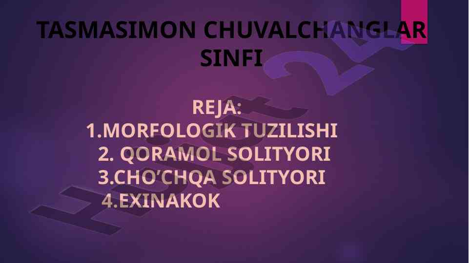 Tasmasimon chuvalchanglar sinfi morfologik tuzilishi