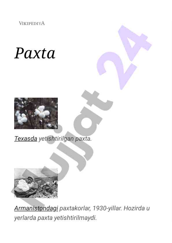Paxta yetishtirish texnologiyalari haqida maqola