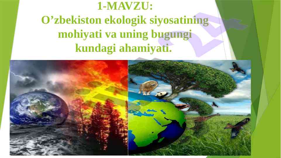 O’zbekiston ekologik siyosatining ahamiyati