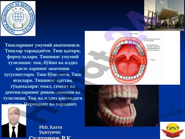 Tishlarning umumiy anatomiyasi va tashkiliy asoslari