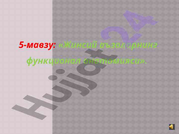 Жинсий аъзоларнинг функционал анатомияси