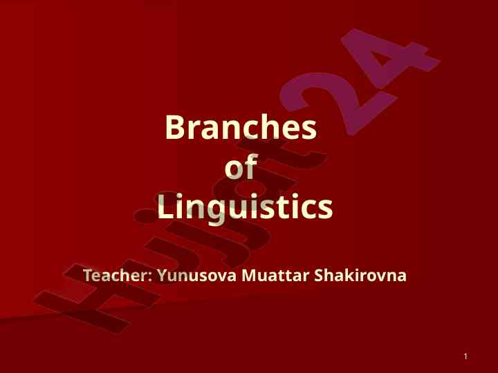 Branches of linguistics overview and study
