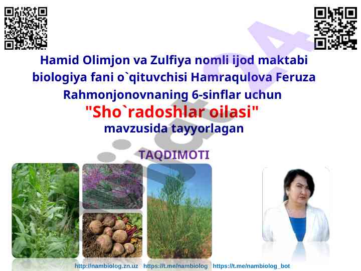 Sho`radoshlar oilasi mavzusida taqdimot
