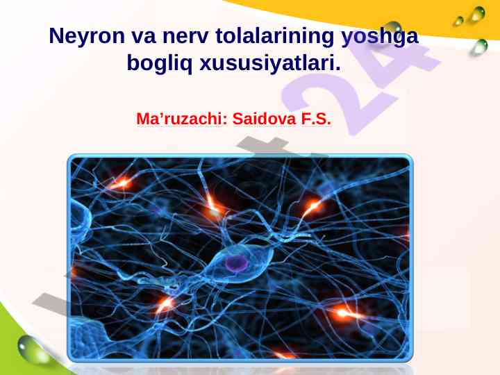 Neyron va nerv tolalarining yoshga bogliq xususiyatlari