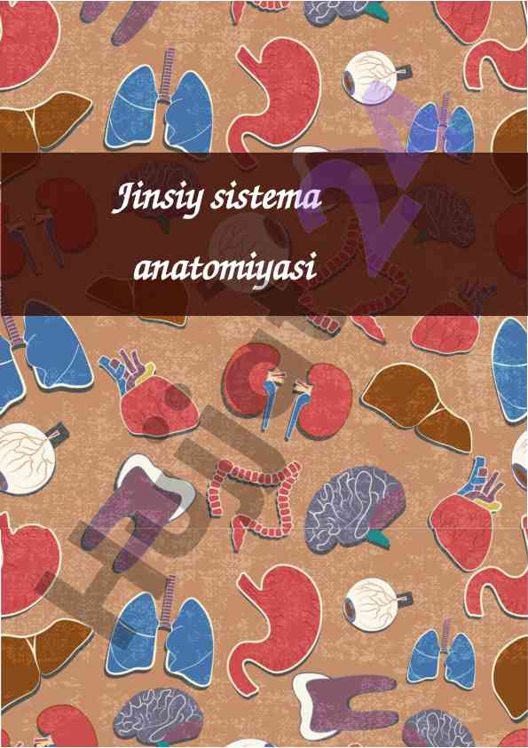 Jinsiy sistema anatomiyasi tog‘risida o‘quv qo‘llanma