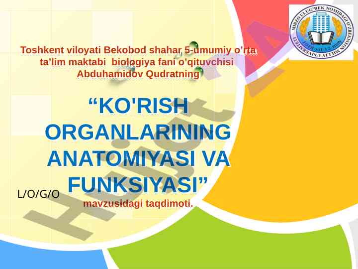 Ko'rish organlarining anatomiyasi va funktsiyalari