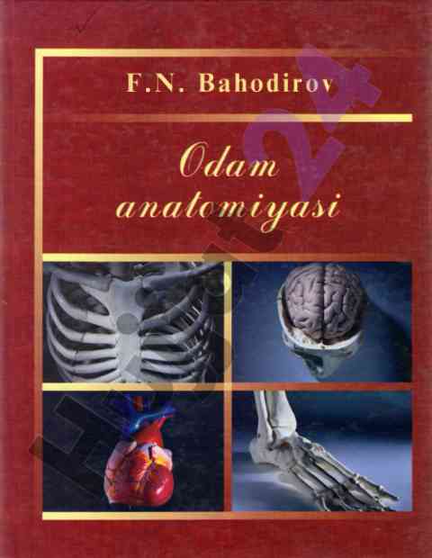 Odam anatomiyasi darslik tibbiyot talabalari uchun
