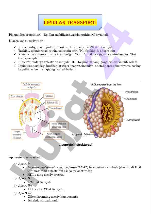 Plazma lipoproteinlarining rol va xususiyatlari