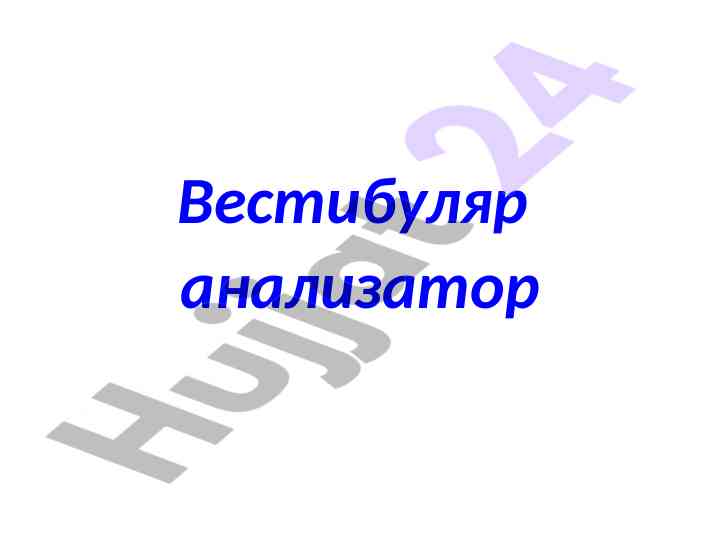 Vestibulyar analizator