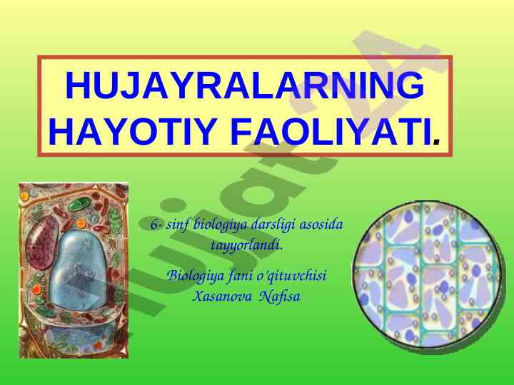 Hujayralarning hayotiy faoliyati bo'yicha darslik