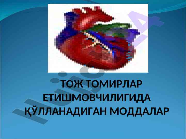 Heart coronary diseases and antianginal agents overview