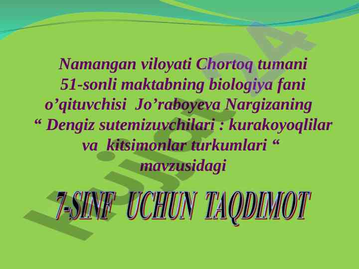 Dengiz sutemizuvchilari: kurakoyoqlilar va kitsimonlar mavzusi