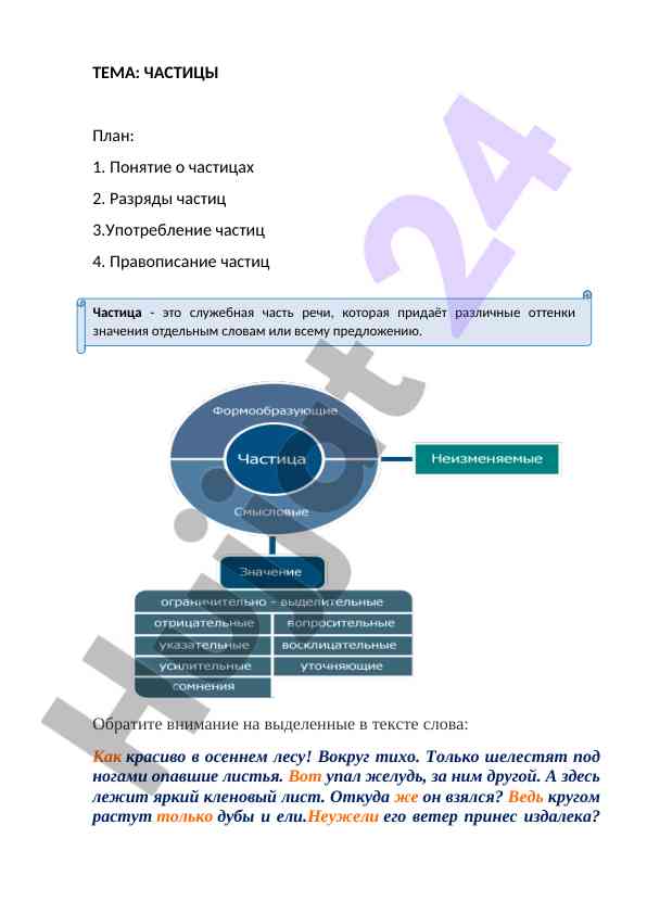 Частицы: понятие и употребление в русском языке