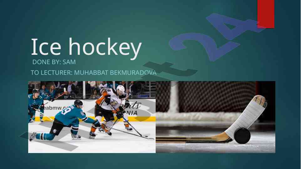 Background facts and terminology of ice hockey