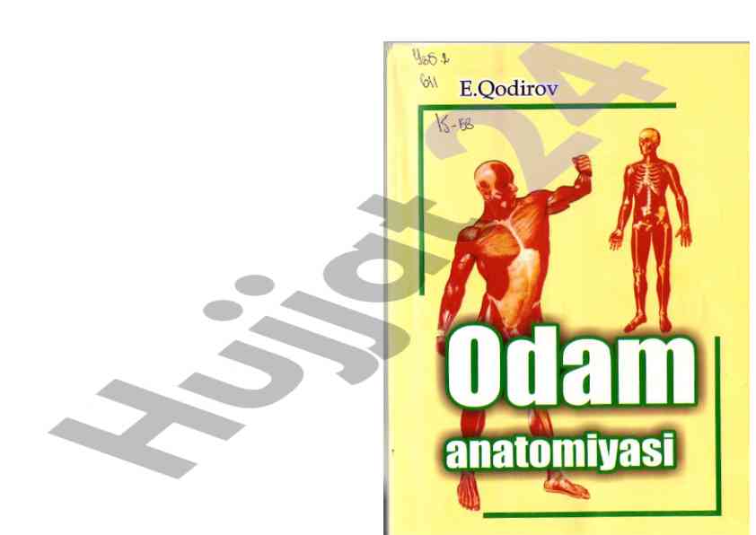 Odam anatomiyasi darsligi biologiya talabalari uchun