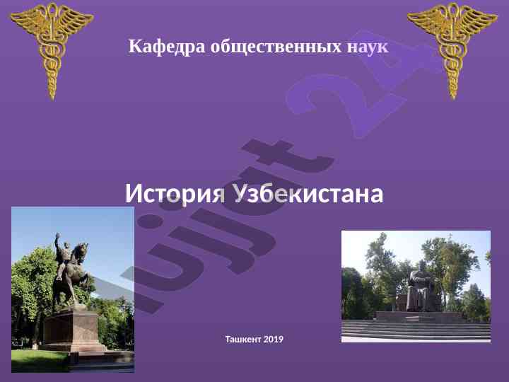 Razvitie uzbekskoy gosudarstvennosti pri amir temure