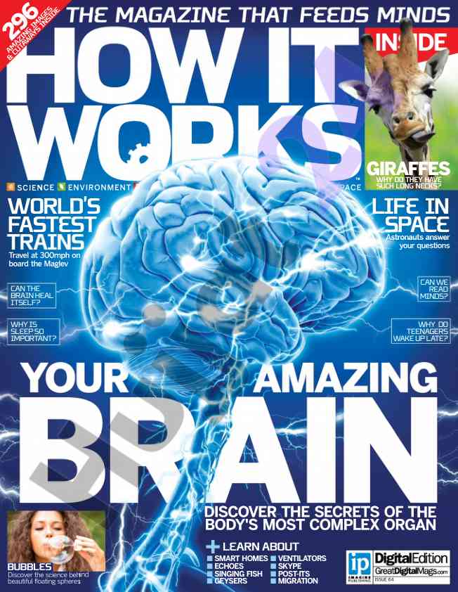 Understanding human brain function and its mysteries