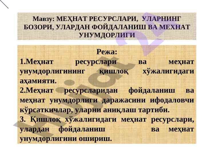 Mehnat resurslari va ularning bozori qishloq xo‘jaligida