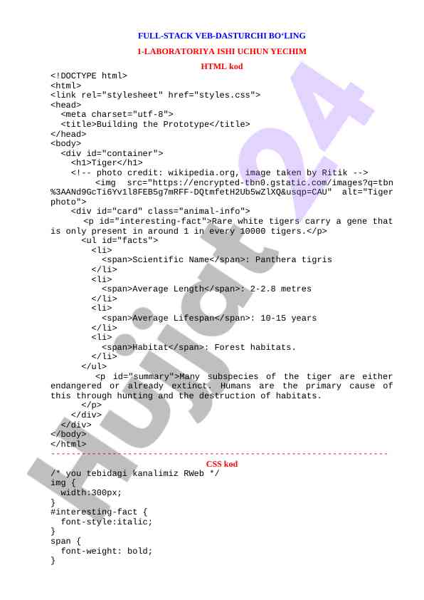 WEB-DASTURLASH LABORATORIYA ISHI