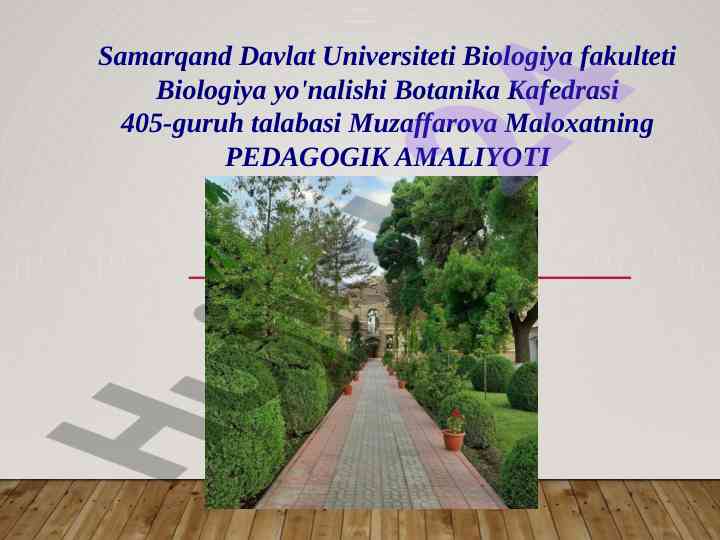 Vatanimiz xaritasida o‘quvchilar uchun ochiq dars