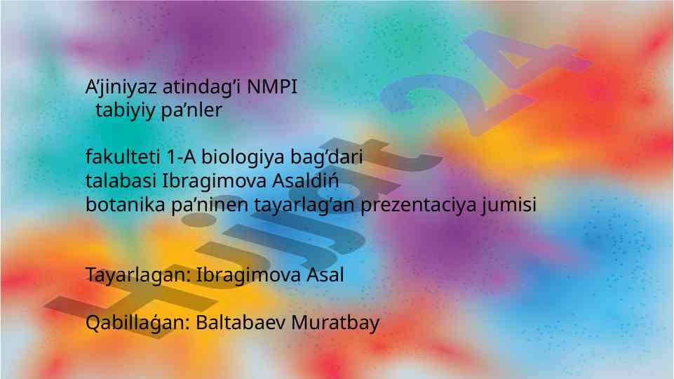 Eki tuqım úlesli ósimlikler anatomik dúzilisi