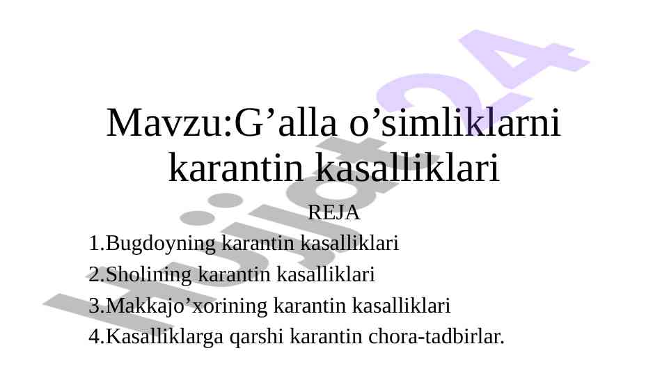 G’alla o’simliklarni karantin kasalliklari tahlili