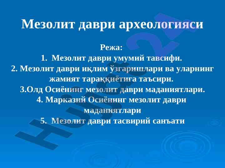 Мезолит даври археологияси тадқиқоти