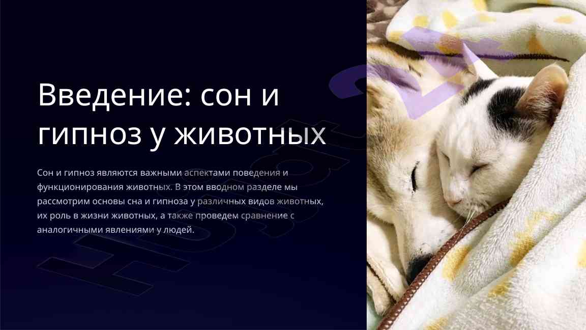 Сон и гипноз у животных: основы и сравнение