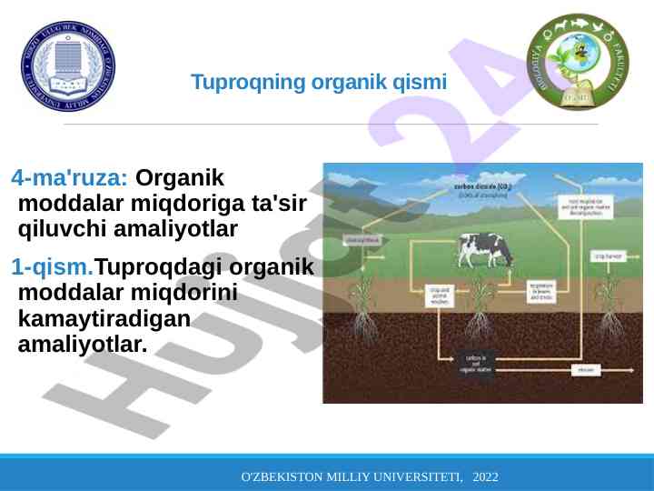 Tuproqning organik qismi va amaliyotlar ta'siri