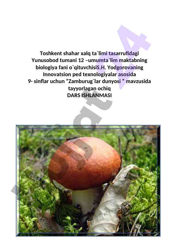 Zamburug'lar dunysi mavzusi bo'yicha ochiq dars