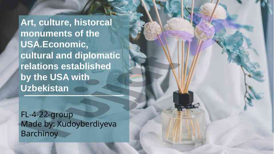 Art and cultural heritage of the usa