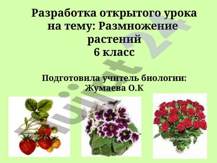 Otkrytyy urok na temu razmnozhenie rasteniy