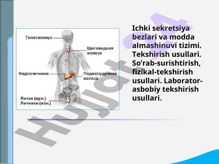 Ichki sekretsiya bezlari va modda almashtirish tizimi