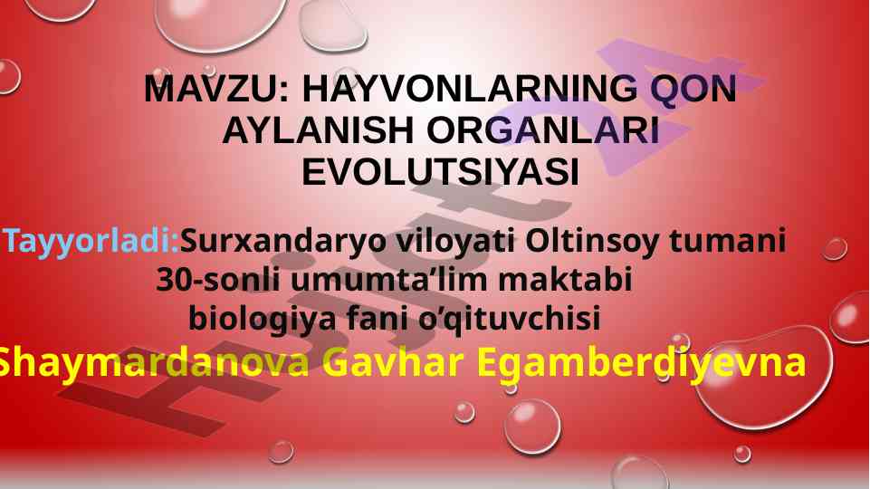 Hayvonlarning qon aylanish organlari evolutsiyasi