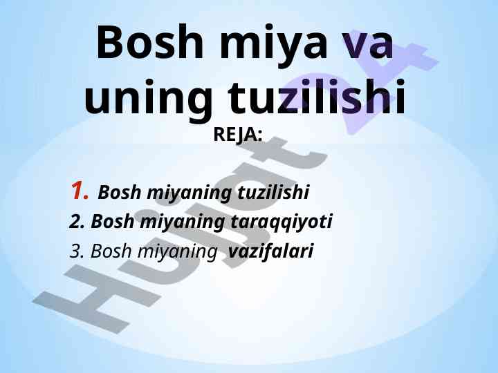 Bosh miya va uning tuzilishi: umumiy ma’lumotlar