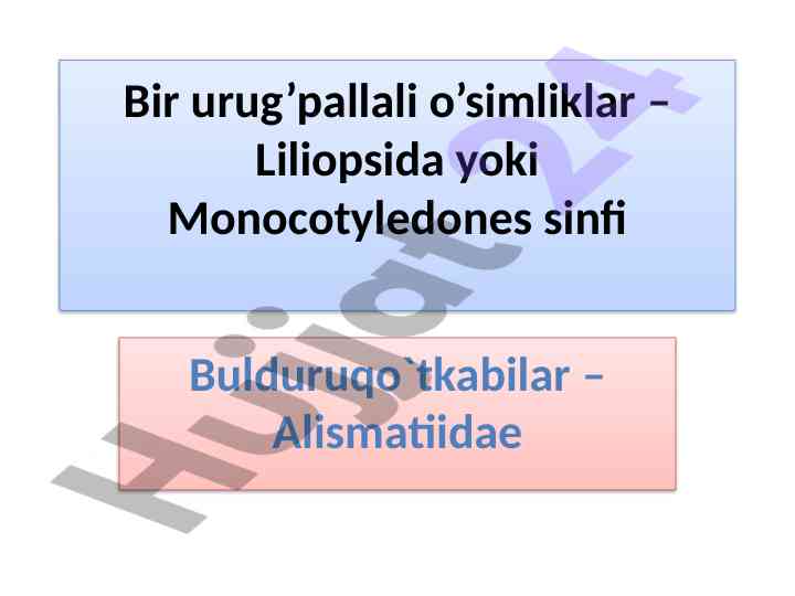 Bulduruqo'tkabilar sinfi va ularning tasnifi