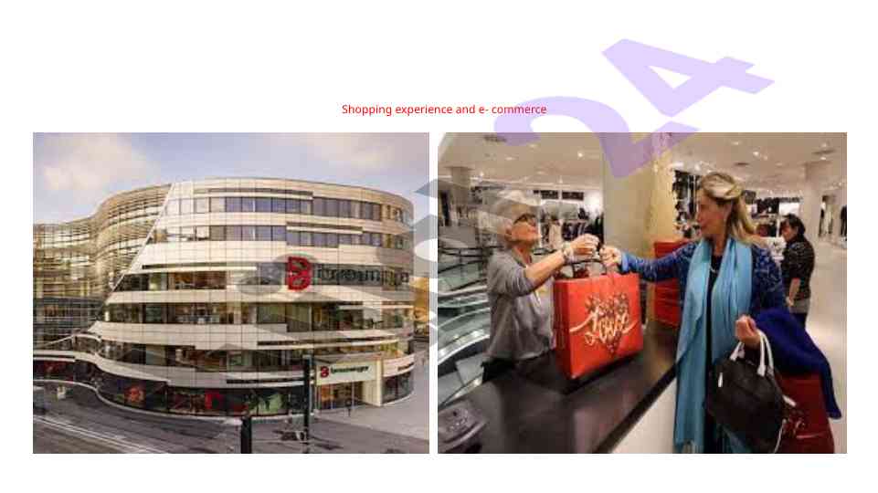 Customer service and shopping experience insights