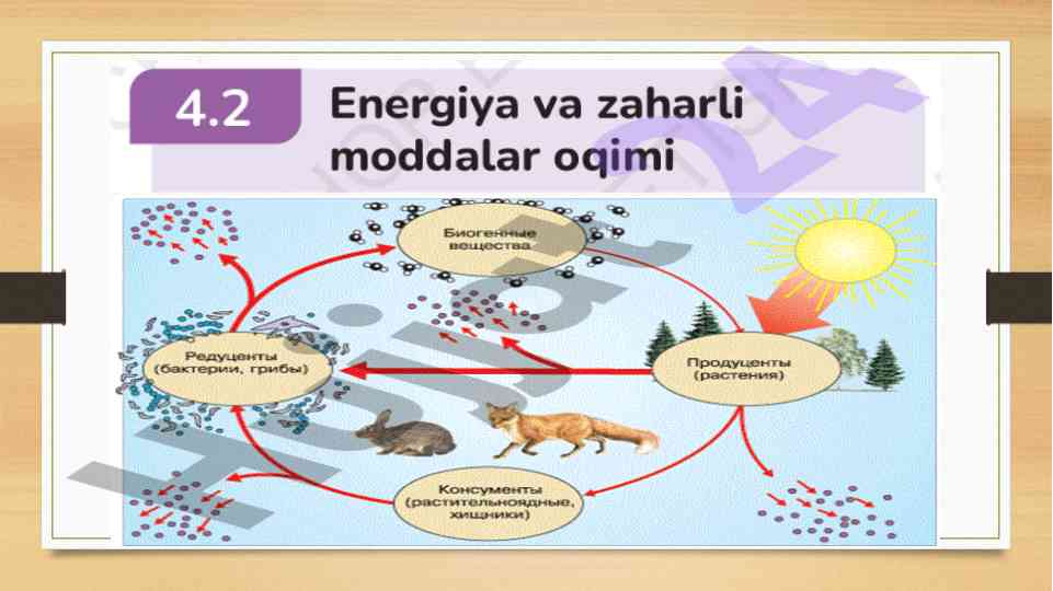 Mavzuni o‘qish va muhim ma’lumotlarni yozish