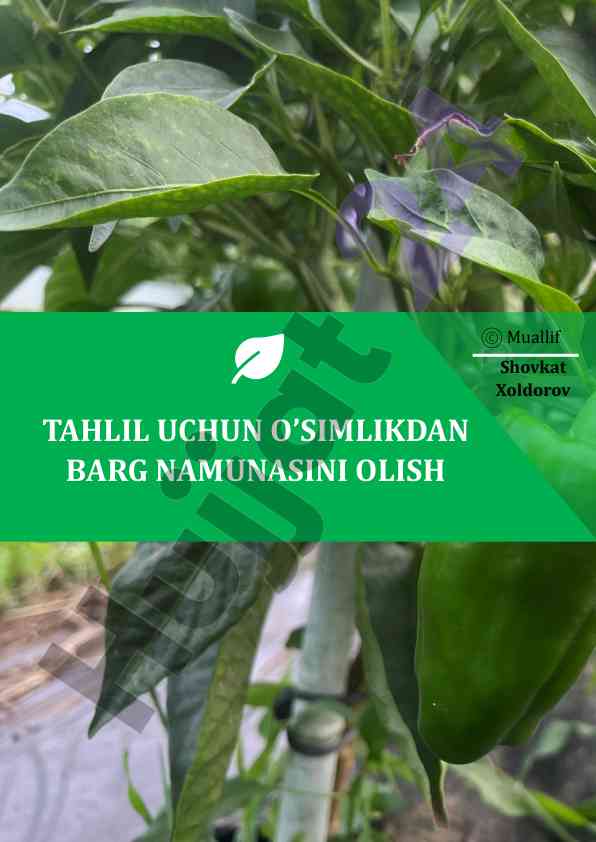 O’simlik barg namunalarini olish usullari