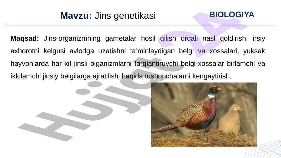 Jins genetikasi va fenotipani aniqlash usullari