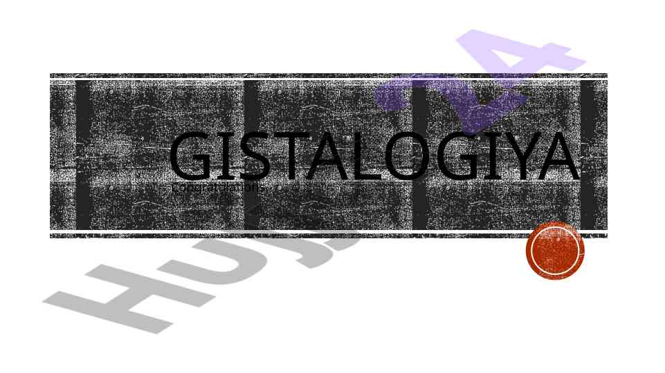 Gistalogiya fanidan mustaqil ish