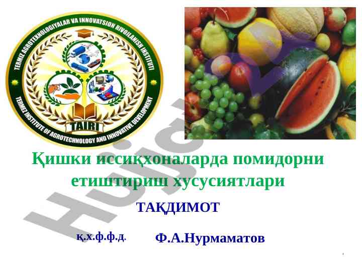 Pomidorni issiqhonada etiштirish xususiyatlari