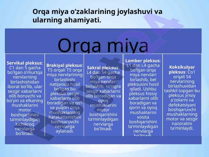 Orqa miya o’zaklari va ularning ahamiyati