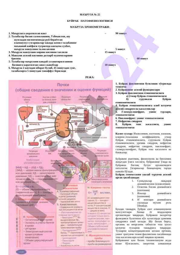 Buirak patofiziologiyasi mavzusidagi ma’ruza